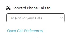 Screen shot of dropdown to select the phone in which to forward calls