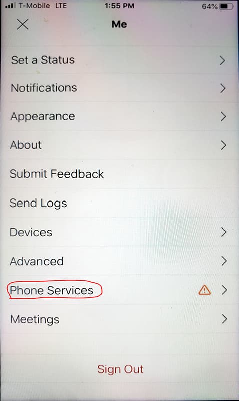 Screen shot showing Phone Services option