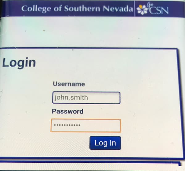 Screen shot showing login fields for CSN